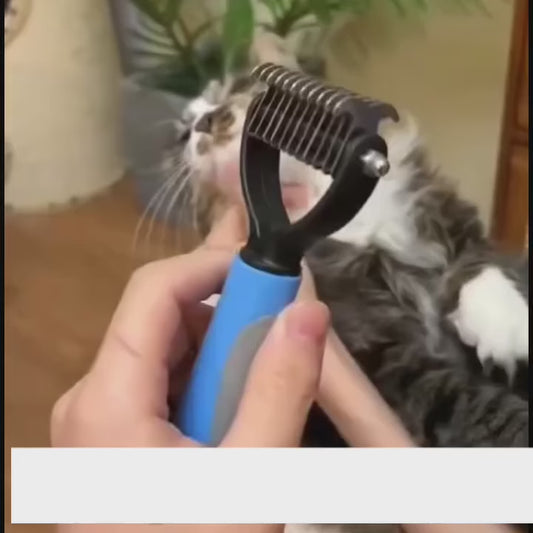 Escova Tira Pelos para Cães e Gatos (Seu sofá agradece! 🐶🐱)